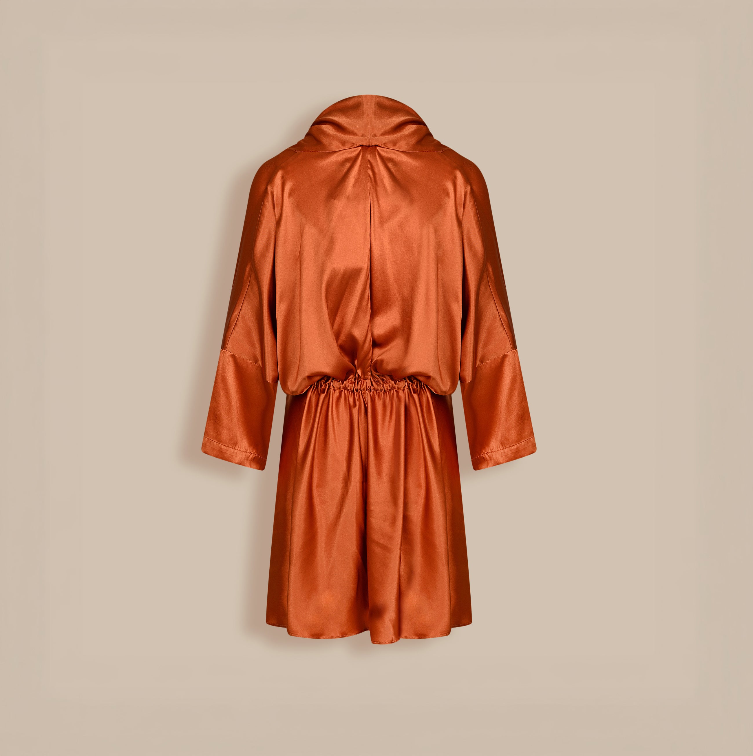 Clara Silk Dress